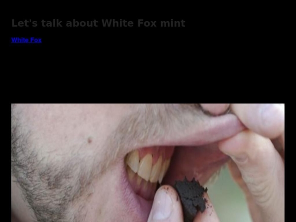 white-fox.us